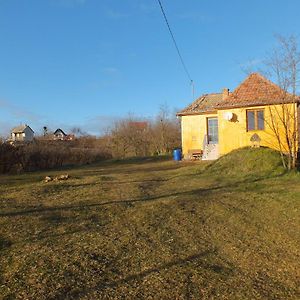 Mullers Ferienhaus Weinbergalm Villa Dobrokoz Exterior photo