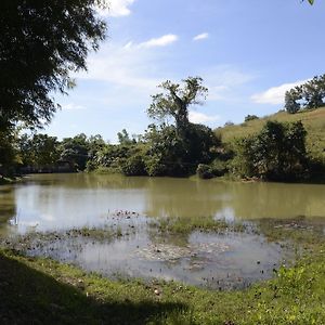 Phuzai Kaew Resort Vangnamkhieo Exterior photo