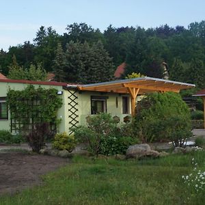 Ferienhausteube Villa Gohrisch Exterior photo