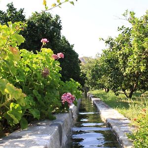 Agriturismo Casato Ruggero Villa Guardavalle Exterior photo