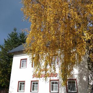 Villa Plischke Lipová-lázně Exterior photo