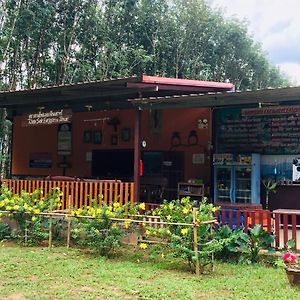 Khao Sok Evergreen House Khao Sok National Park Exterior photo