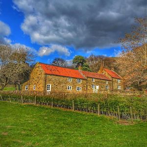 Park House Panzió Ingleby Arncliffe Exterior photo