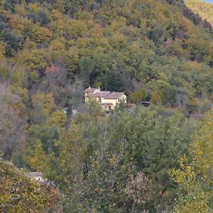 Casa Vacanze - La Casina Di Lalla - Greccio Panzió Exterior photo