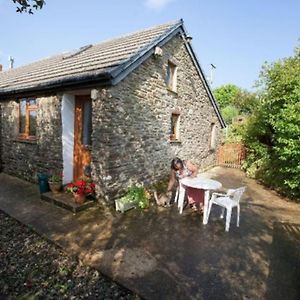 Inviting 2-Bed Cottage In Newcastle Emlyn Exterior photo