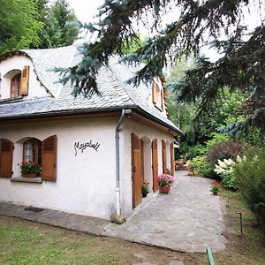 Villa Mayabell Besse-et-Saint-Anastaise Exterior photo