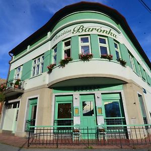 Baronka Bed & Breakfast & Bistrot Panzió Betlér Exterior photo