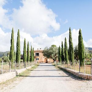 Finca Es Cabas Hotel Santa Maria del Cami  Exterior photo