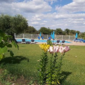 Cidadelhe Rupestre Turismo Rural Hotel Exterior photo